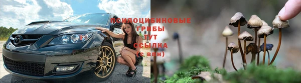 гашик Алзамай