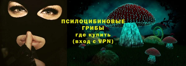 гашик Алзамай