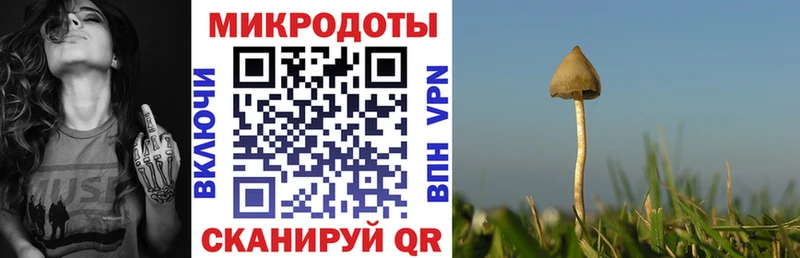 Псилоцибиновые грибы MAGIC MUSHROOMS hydra как войти Славск